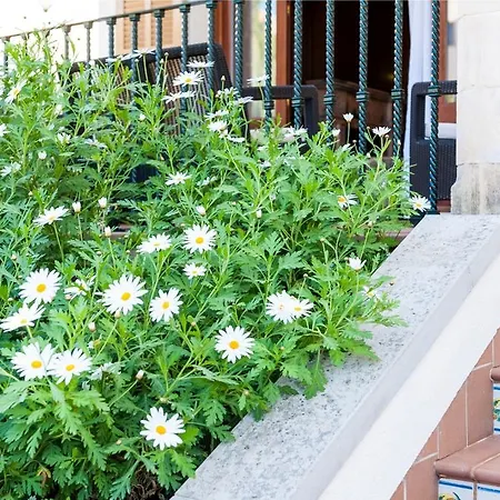 Barret * 坎皮卡福特