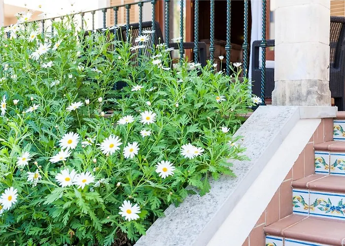 Barret * Can Picafort (Mallorca)